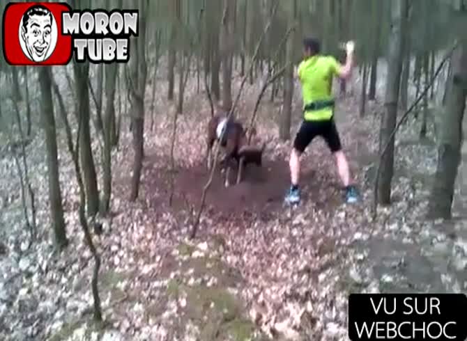 Video :He rescues a mouflon that is stuck
